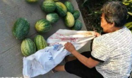 吃瓜最新事件爆料兰陵,吃瓜群众揭秘最新事件内幕